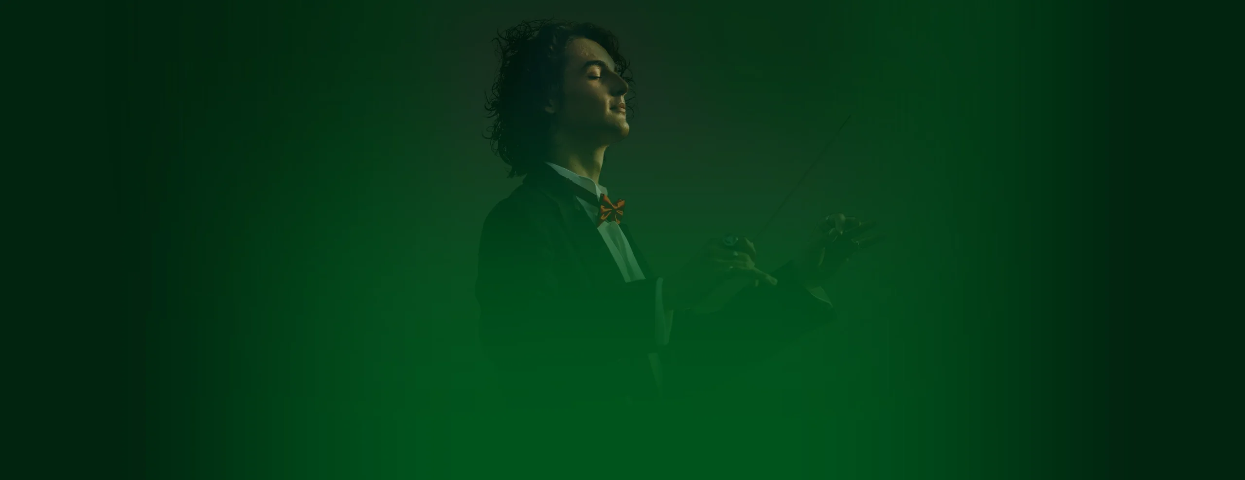 Srijemska kobasica Premium